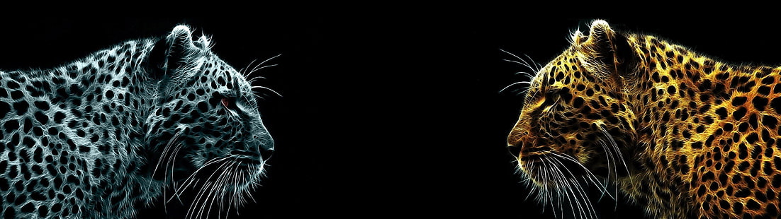 Doppelmonitor, der dunkle Hintergrund, Jaguare, HD-Hintergrundbild HD wallpaper