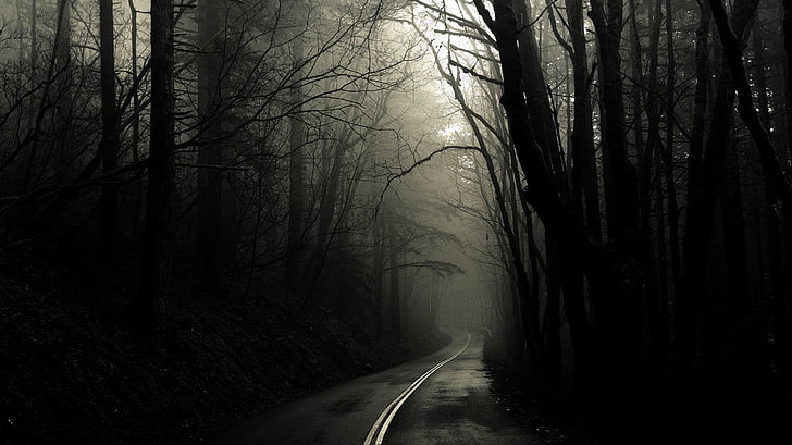 черен асфалтов път, път, тъмно, дървета, HD тапет