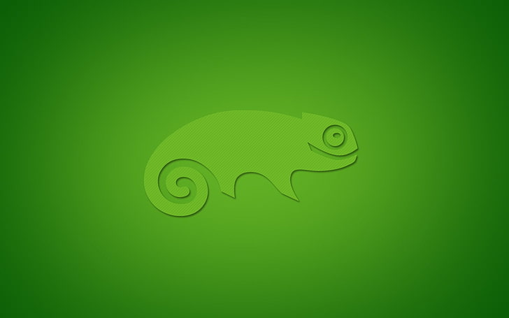 green chameleon illustration, operating system, Linux, computer, openSUSE, green, digital art, green background, HD wallpaper