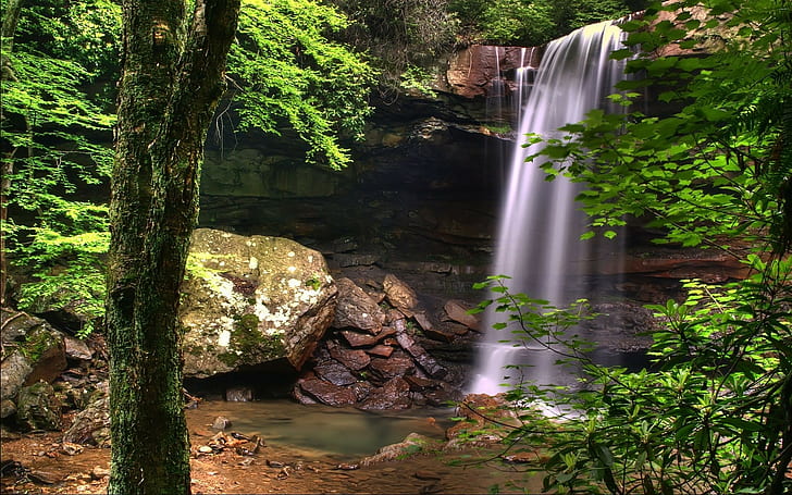 น้ำตกป่าต้นไม้หินหิน HD ธรรมชาติต้นไม้ป่าหินหินน้ำตก, วอลล์เปเปอร์ HD