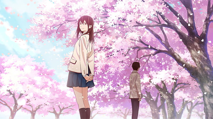 Anime, ich möchte deine Bauchspeicheldrüse essen, Haruki Shiga, Sakura Yamauchi, HD-Hintergrundbild