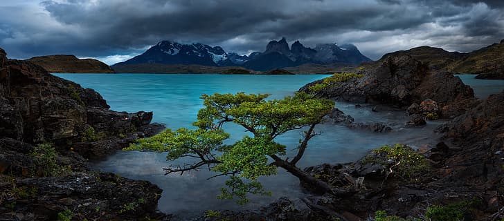 mountains, lake, tree, rocks, Chile, Patagonia, Lake Pehoe, Torres del Paine National Park, Torres del Paine, Andes Mountains, Patagonian Andes, Cordillera Paine, HD wallpaper