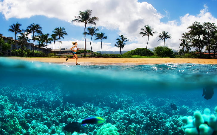 カナパリビーチマウイ島ハワイのデスクトップの背景592840、 HDデスクトップの壁紙