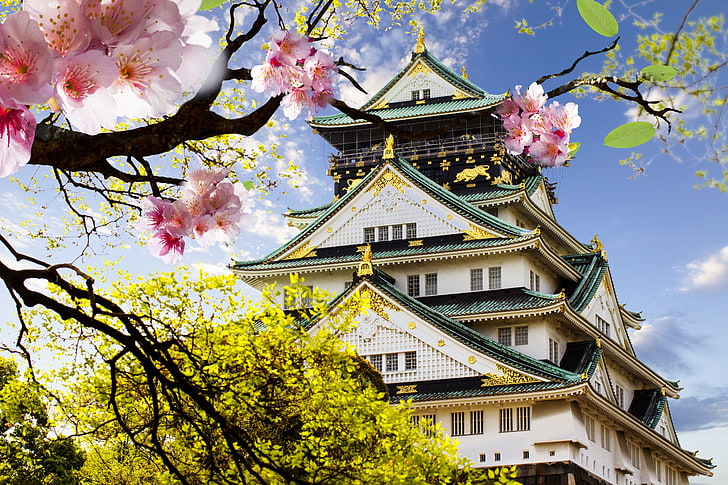 white and green temple, castle, Japan, Sakura, flowering, Japanese, HD wallpaper