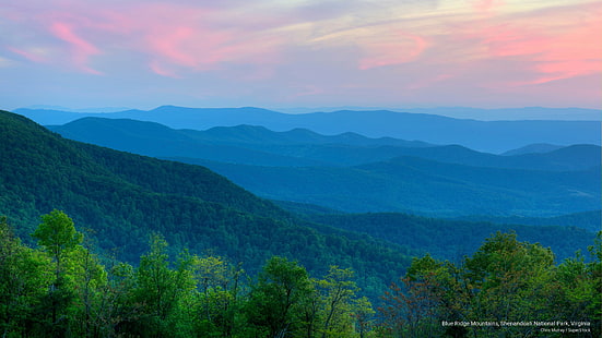 Голубой хребет, Национальный парк Шенандоа, Вирджиния, Горы, HD обои HD wallpaper