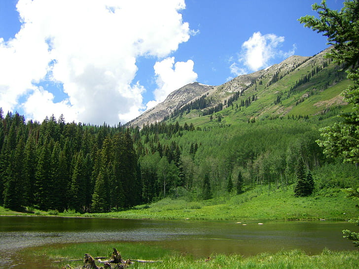 Colorado Rocky Mountains, foresta, montagna, natura, lago, natura e paesaggi, Sfondo HD