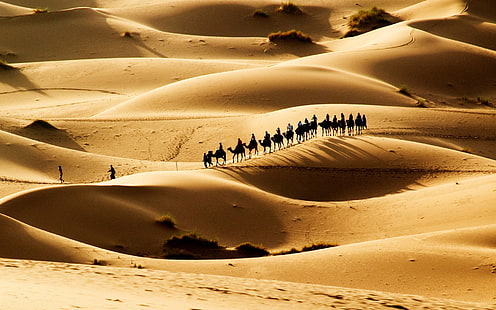 Гореща пустиня, пясъчни дюни, керван, гореща, пустиня, пясък, дюни, HD тапет HD wallpaper