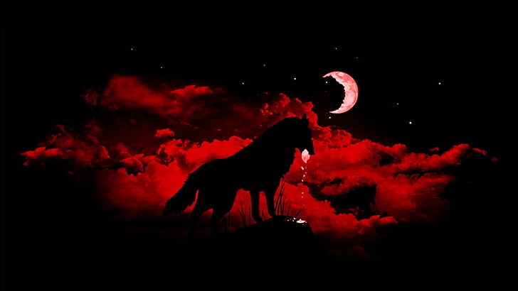 животные, фэнтези арт, луна, ночь, волк, HD обои