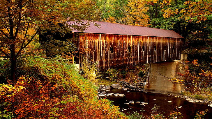 Überdachte Brücke, Vermont, Strom, Jahreszeiten, Brücke, natürliche Welt, Baum, Wasser, ländliche Szene, überdachte Brücke, Landformen, HD-Hintergrundbild