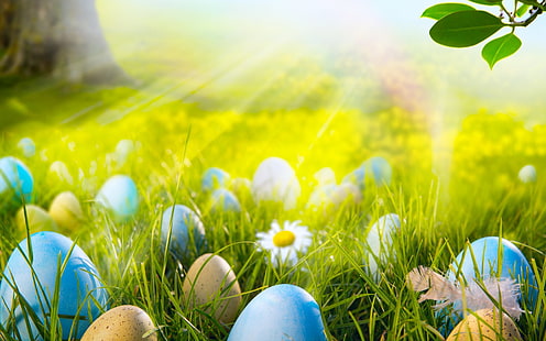 Великденски яйца поле, Великден 2014, Великденски яйца, 2014 Великденски яйца, пейзаж, HD тапет HD wallpaper
