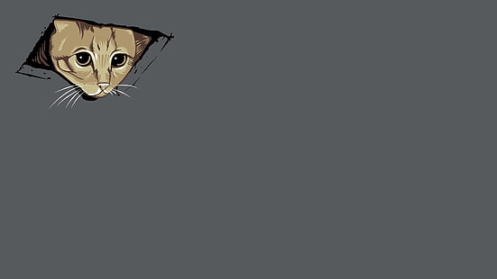 抽象的な猫子猫天井猫単純な単純な動物猫HDアート、抽象、シンプル、猫、子猫、単純な、天井猫、 HDデスクトップの壁紙 HD wallpaper