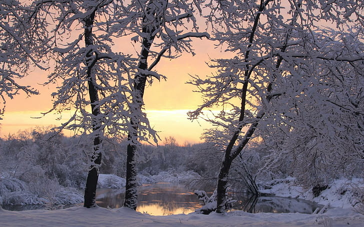 풍경 자연 겨울 나무, 나무, 풍경, 자연, 겨울, HD 배경 화면