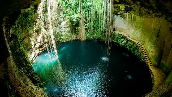 cenote ik kil, yucatán halvön, sjö, cenotes, damm, regnskog, djungel, grotta, bildning, mexico, underjordisk sjö, ik kil cenote, chichen itza, yucatan, maya, vattensamling, forntida, cenote, HD tapet