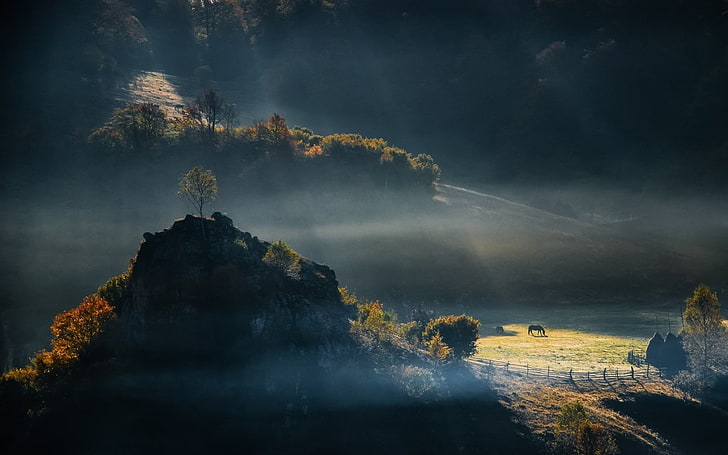 pintura de bosque con lago, niebla, naturaleza, paisaje, campo, bosque, rayos de sol, caballo, valla, Fondo de pantalla HD