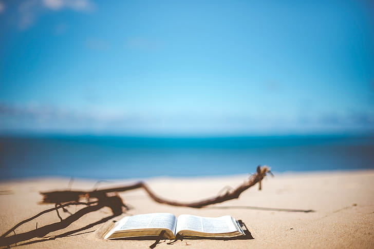 beach, books, nature, water, HD wallpaper