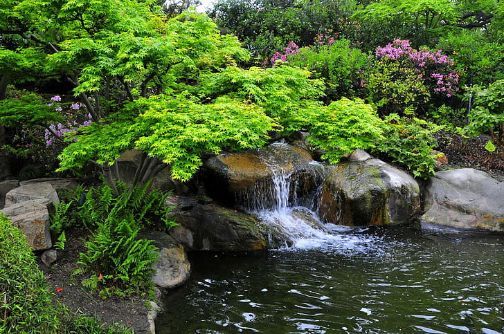 캘리포니아, 밀러 일본 정원, 캘리포니아, 밀러 일본 정원, 정원, 덤불, 돌, ručej.vodopad, HD 배경 화면