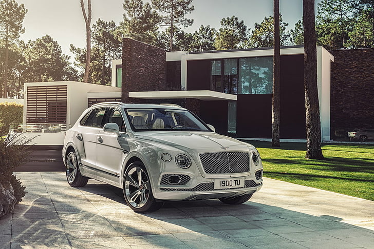 Bentley, Bentley Bentayga, Car, Luxury Car, SUV, Silver Car, Vehicle, HD wallpaper