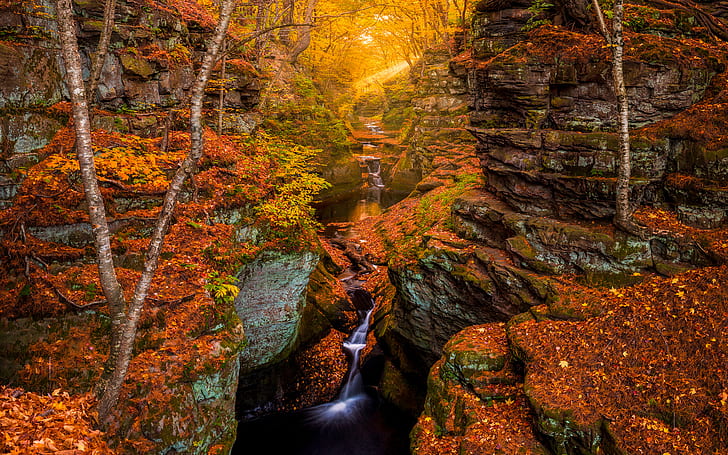 Осенний лес Скалы Камни Поток Водопад Timelapse Солнечный свет Деревья HD, природа, деревья, солнечный свет, лес, скалы, камни, замедленная съемка, осень, водопад, ручей, HD обои