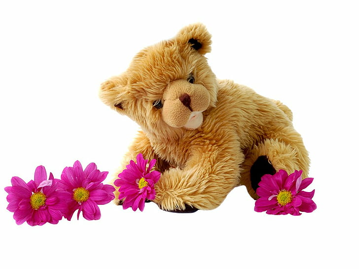 Cute Teddy Bear, Lovely, Hairy, Flower, cute teddy bear, lovely, hairy, flower, HD wallpaper