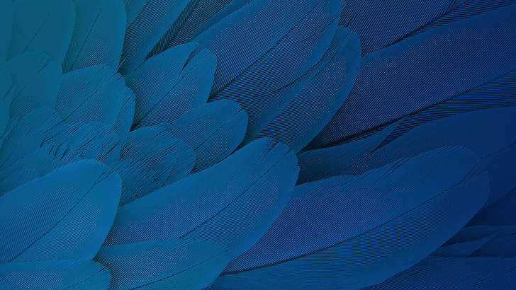 Feathers Moto X Play Stock HD, Play, Moto, Stock, Feathers, HD wallpaper