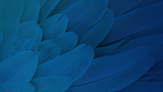 Feathers Moto X Play Stock HD, Play, Moto, Stock, Feathers, HD wallpaper HD wallpaper