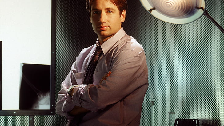 Fox Mulder, The X-Files, David Duchovny, lengan disilangkan, Wallpaper HD