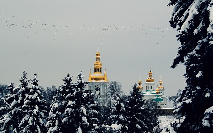 gold and white temple, city, winter, snow, church, trees, pine trees, sky, flying, birds, mood, HD wallpaper