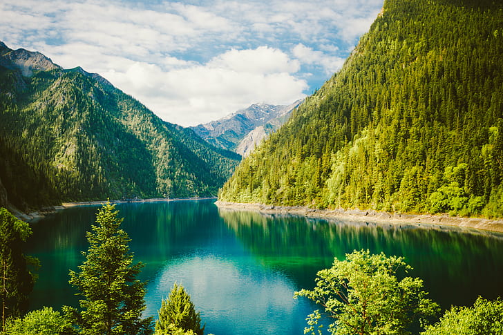 body of water surrounded of green leaf trees, Village, body of water, green leaf, trees, jiuzhaigou, lake, mountain, ngawa, sichuan, china, chine, chunghwa, green, nature, country, mount, yellow, PREFECTURE, Reflection, canon  eos  5d, sight, Landscape, capture, natural, skies, cloud, clouds, sea, 35mm, Tibetan, asia, aqua, hdr, water, forest, outdoors, scenics, summer, blue, sky, tree, beauty In Nature, travel, european Alps, mountain Range, HD wallpaper