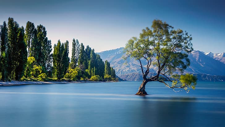 природа, пейзаж, езеро, дървета, вода, планини, небе, езерото Уанака, Нова Зеландия, HD тапет