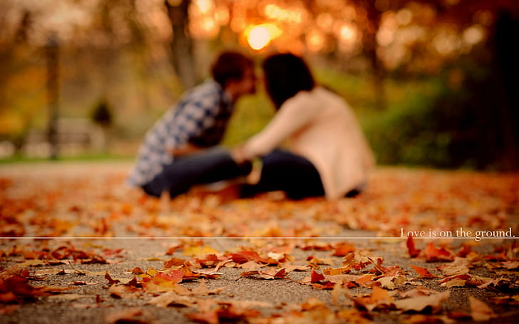 Love pair autumn, brown leaves, mood, leaves, couples, foliage, parks, pair, guys, autumn, girls, love, falling leaves, a guy and a girl, HD wallpaper