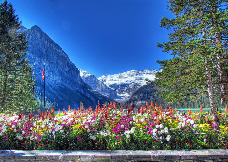Parque nacional de Banff, montañas, parque nacional de Banff, Alberta, Canadá, montañas, cielo, lago, árboles, flores, macizo de flores, nieve, Fondo de pantalla HD