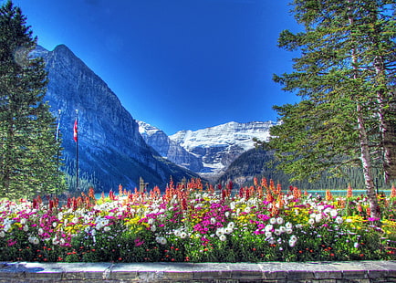 Parque nacional de Banff, montañas, parque nacional de Banff, Alberta, Canadá, montañas, cielo, lago, árboles, flores, macizo de flores, nieve, Fondo de pantalla HD HD wallpaper