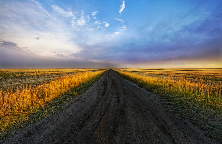 photography free road surrounded by grass, On the Road, Road to, Somewhere, grass, d2x, Hdr, Portfolio, Montana, sunset, wheat, dig, canada, usa, farm  road, dirt, pastoral, scenic, colorful, beautiful, travel, adventure, tutorial, fields, horizon, sky  blues, yellow, Photographer, Pro, Nikon, Photography, Panorama, details, Perspective, Shot, Shoot, Capture, Image, Photos, Picture, Edge, Angle, lines, work, Composition, Processing, Treatment, Framing, Unique, Background, best, d2xs, desolate, lonely, grassy, america, united  states, nature, rural Scene, agriculture, field, landscape, road, outdoors, sky, summer, farm, HD wallpaper