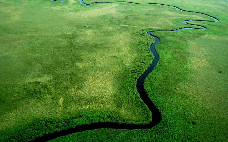sungai, alam, pemandangan udara, hijau, Wallpaper HD