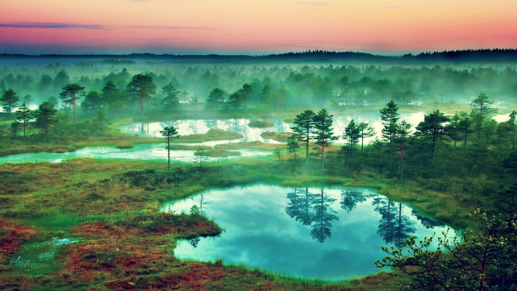 بحيرة ، المناظر الطبيعية ، الطبيعة ، إستونيا، خلفية HD