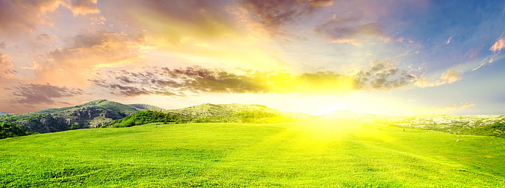 Dazzling Sun, green grass field, Nature, Landscape, Dazzling, HD wallpaper