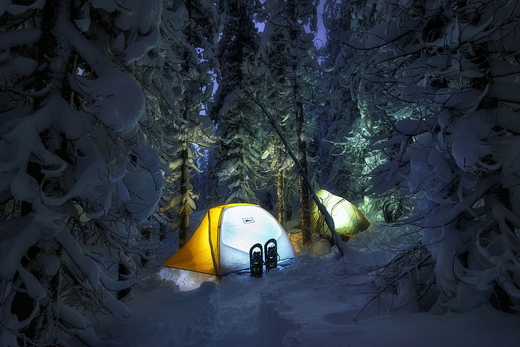 śnieg, namiot, las, zima, noc, kemping, Tapety HD