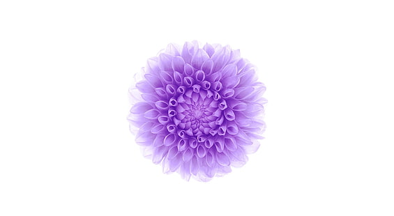 Apple iOS Flower-2, flor agrupada de color púrpura, Computadoras, Mac, Flor, Apple, Blanco, computadora, apple ios, Fondo de pantalla HD HD wallpaper