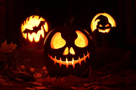 Święto, Halloween, jesień, latarnia z dyni, liść, dynia, Tapety HD HD wallpaper