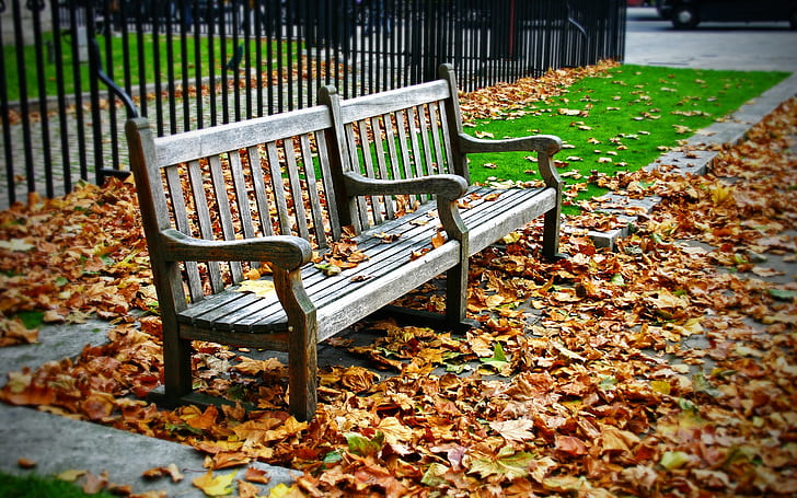 Wood Bench, brown wooden bench, leaves, HD wallpaper