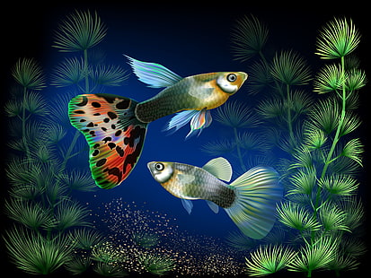 две серые рыбы гуппи, рыба, водоросли, аквариум, вектор, под водой, HD обои HD wallpaper