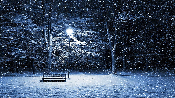 gray wooden bench, winter, snow, street light, HD wallpaper