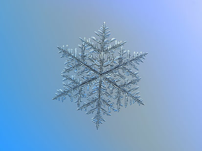 gray snowflake illustration, Snowflake, macro, majestic, explore, gray, illustration, photo, snow  crystal, crystal  symmetry, outdoor, winter, cold, frost, natural, ice, closeup, transparent, hexagonal, details, shape, christmas, sign, symbol, season, seasonal, fine, elegant, ornate, beauty, beautiful, north, decor, isolated, clear, unique, decorated, light, fragile, fragility, background, flake, frosty, pattern, weather, icy, microscopic, ornament, abstract, glitter, sparkle, design, volumetric, new year, traditional, dendrite, common, elegance, complex, microscopy, big, glossy, relief, snow, backgrounds, decoration, frozen, vector, blue, cold - Temperature, white, holiday, celebration, HD wallpaper HD wallpaper