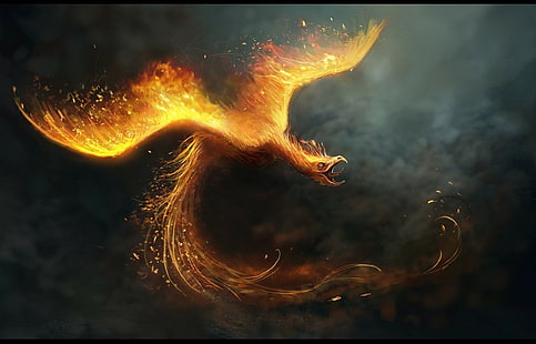 birds, phoenix, digital art, fire, HD wallpaper HD wallpaper