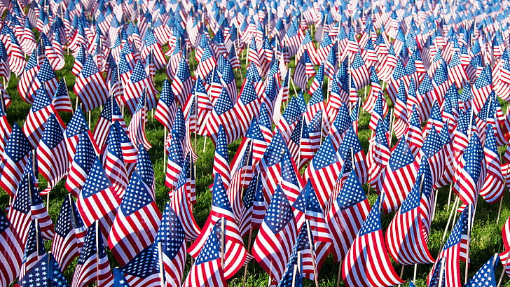 American flags, u.s.a. flaglet lot, holidays, memorial day, flag, america, HD wallpaper