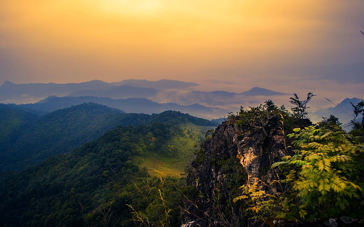 草フィールド山、自然、風景、霧、山、森、低木、雲、タイ、 HDデスクトップの壁紙