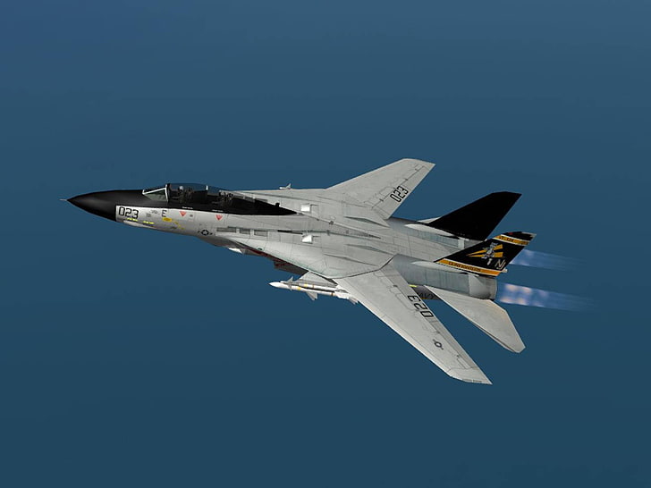 F-14 Tomcat ، طائرة مقاتلة E20 باللونين الرمادي والأسود ، طائرات / طائرات، خلفية HD