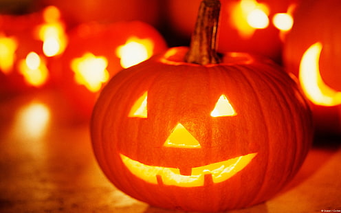 Jack-o-lantern, Halloween, labu, mata bersinar, Wallpaper HD HD wallpaper