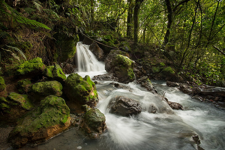forest, stream, stones, waterfall, New Zealand, river, Tongariro National Park, Ketetahi Stream, HD wallpaper