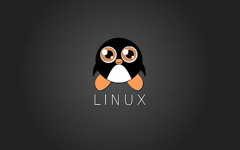 tux, linux, ordinateur, pingouin, Fond d'écran HD HD wallpaper